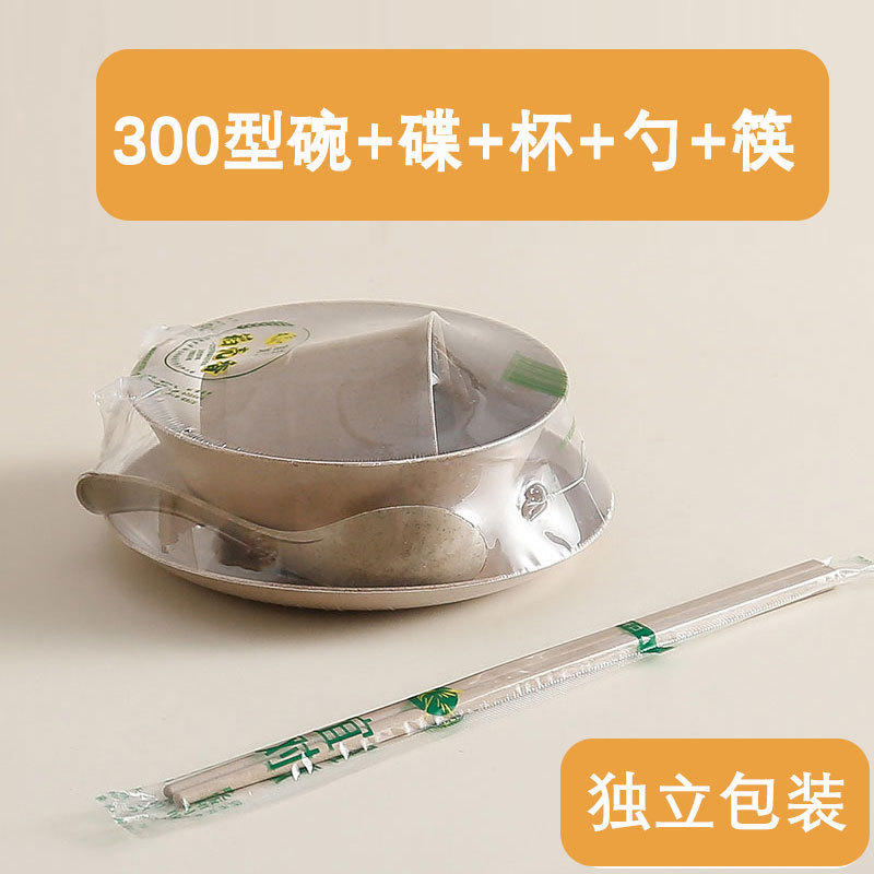 5종세트 [그릇+접시+숟가락+컵+젓가락] 20개입 개별포장 ♜ ♜