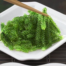 �W�t�}�n������100g�����z��ʳ�L�۲˺���˺���ȹ���ˉ�˾���l