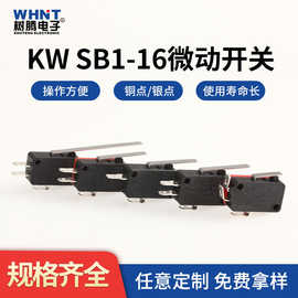 厂家推荐长柄滚轮行程限位开关直插带柄带孔KW SB1-16微动开关
