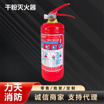 Portable Dry Powder Fire Extinguisher for Vehicle fire extinguisher
