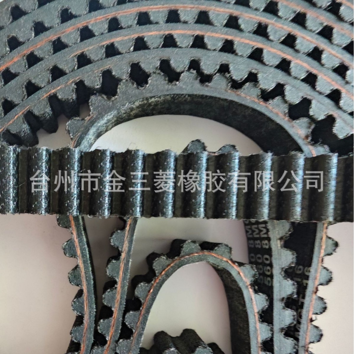Electric off-road vehicle Light Bee X, Chulong belt 560 8MGT-16, electric motorcycle Sur Ron, Segway