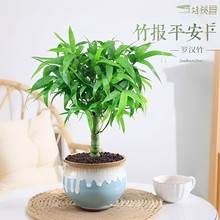 _hϘļֲk҃ȿ͏d辰ܾGֲ