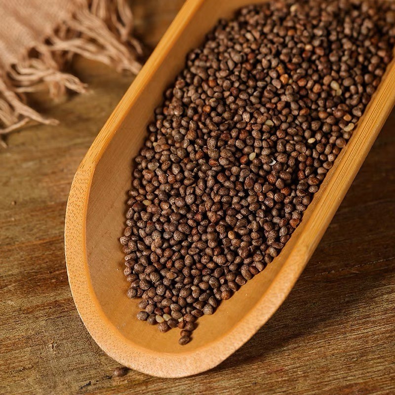 Perilla Seed Zi Su Zi 500g Dried Fructus Perillae for Tea Wine and Culinary Use specifications
