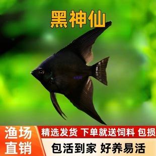 ī���~ˮ�ݸ׵�ˮ�Ꭷ�~�^�p�~�~ī���������~�����~���w