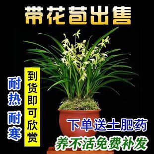 ���m�ļ��m�_���M���h�����B���҃ȾGֲ����