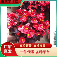 ĻļС~tĻ_ļԻܻL҃Ȼ