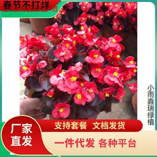 ���Ļ��ļ�С�~�t���Ļ��_���ļ����Ի��ܻ����L�����҃Ȼ���