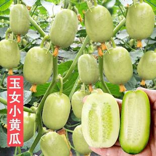 ŮSϷNӟoСSϷN̨ͥԺŮˮS