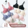 固定一片式调整型聚拢文胸