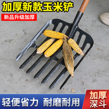 �i䓌��üӺ������F�@����A�^�U��ƽ�^�r�ü��úY��©��©�ۼZʳ