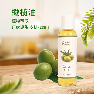 �羳���ڵ͜؉�ե�ϙ����Olive oilֲ������͏S�ҬF؛һ�����l