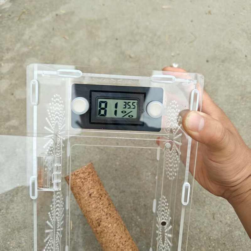 爬虫類ミニ温湿度計爬虫類箱蜘蛛箱飼育箱温湿度計陸亀守宮サソリ|undefined