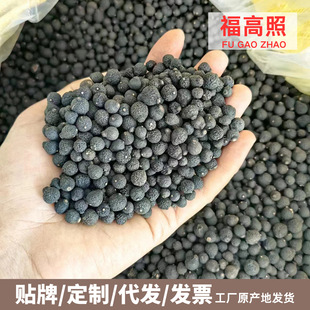 ���l����̥ С����Ƥ���� �خa��̥��BB��С��̥