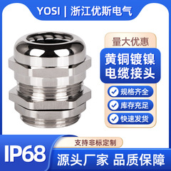 黄銅ニッケルメッキケーブル防水継手金属ip68グランドヘッドm1214162025シールロック充填材状