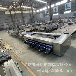软枣猕猴桃滚杠式分选机 球形及椭圆形物料直径分选设备 厂家生产