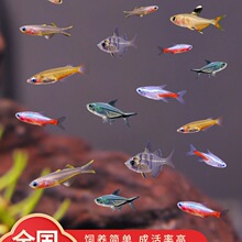 �Ꭷ�~�^�p��ˮ�~���w�����~С���~���R�t�G����ȸȺ���~������~