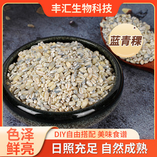 �{���������������������ʼ��������ѵ���������s�Z�S�����l