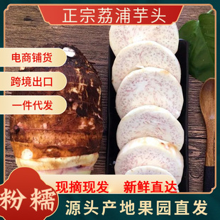 �V���������^ ���ҵ����־�aƷ �ʼ�ؕƷ�������^��Ŵ��һ�����l