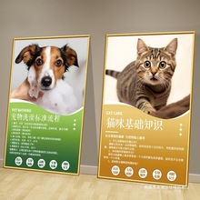 宠物店墙面装饰动物美容海报医院诊所挂画猫狗护理知识文化墙壁画