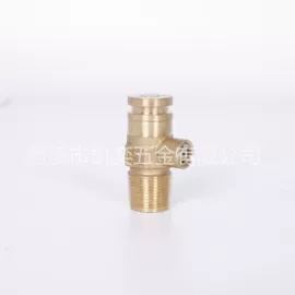 其他阀门;排气阀;阀门配件
