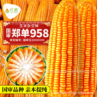 ����958�s���������׷N�ӵǺ�����99������3792���׷N�ѿɴ��l