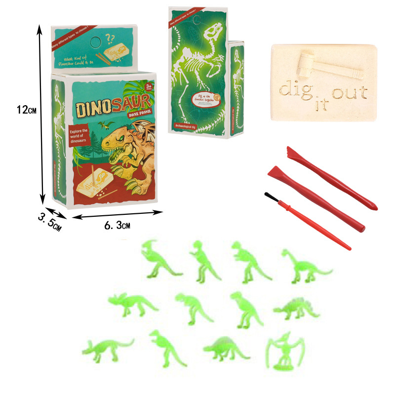 야광 고고학 공룡 화석
