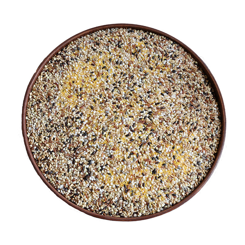 ʮ����������������ܷ����װ�����ز���ʳ����Ӫ�������׻��