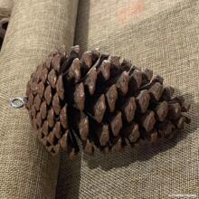 ����ɹ���ᔿɴ����ɹ������ɻ����b��ɹ����diy����b�