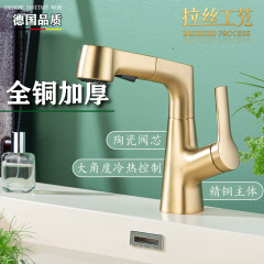 跨境外贸拉丝金冷热单孔升降抽拉双水流卫生间阳台脸盆水龙头