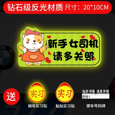 Body sticker | Sticker Magnetic Car Sticker Decorative - strong-magnetic-intensity-reflective-bib-cat-please-take-more-care-gift