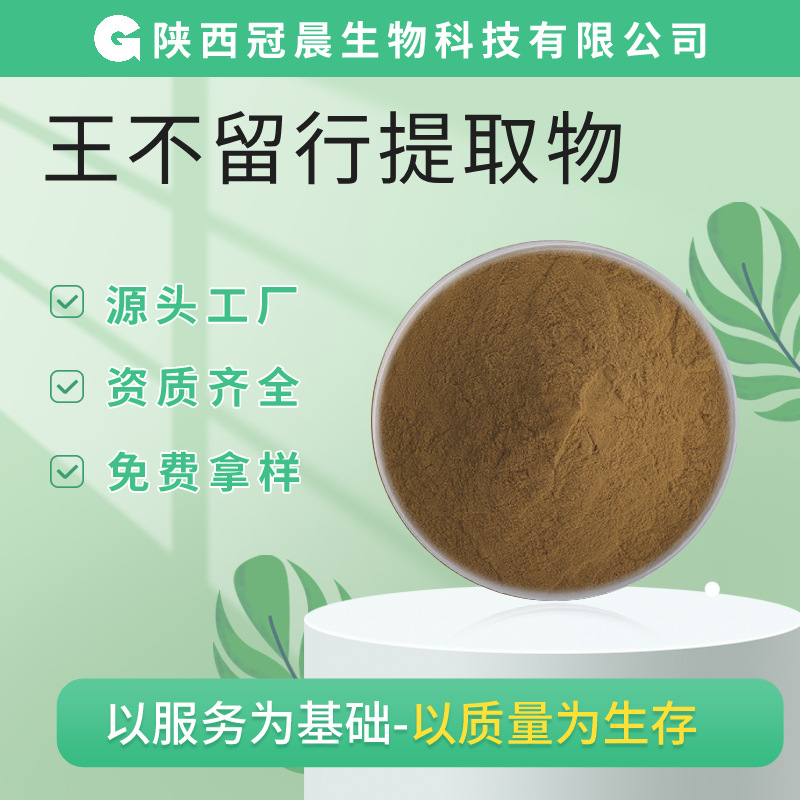 王不留行提取物30:1 王不留行粉水溶王不留行麦蓝菜籽提取物