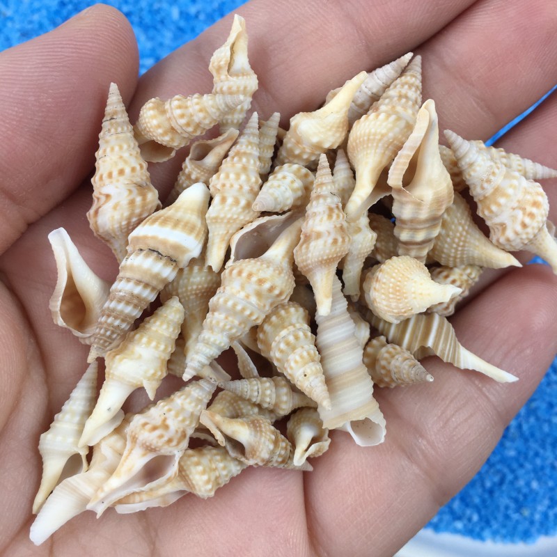 IMG_8715_jLuzxI_副本