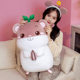Soft down cotton hamster flute doll plush toy children's bed sleeping pillow Cute Mouse doll
