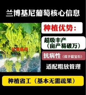 �������l������ �m���������ј��� ͥԺ���Ե������ѷN��޽���