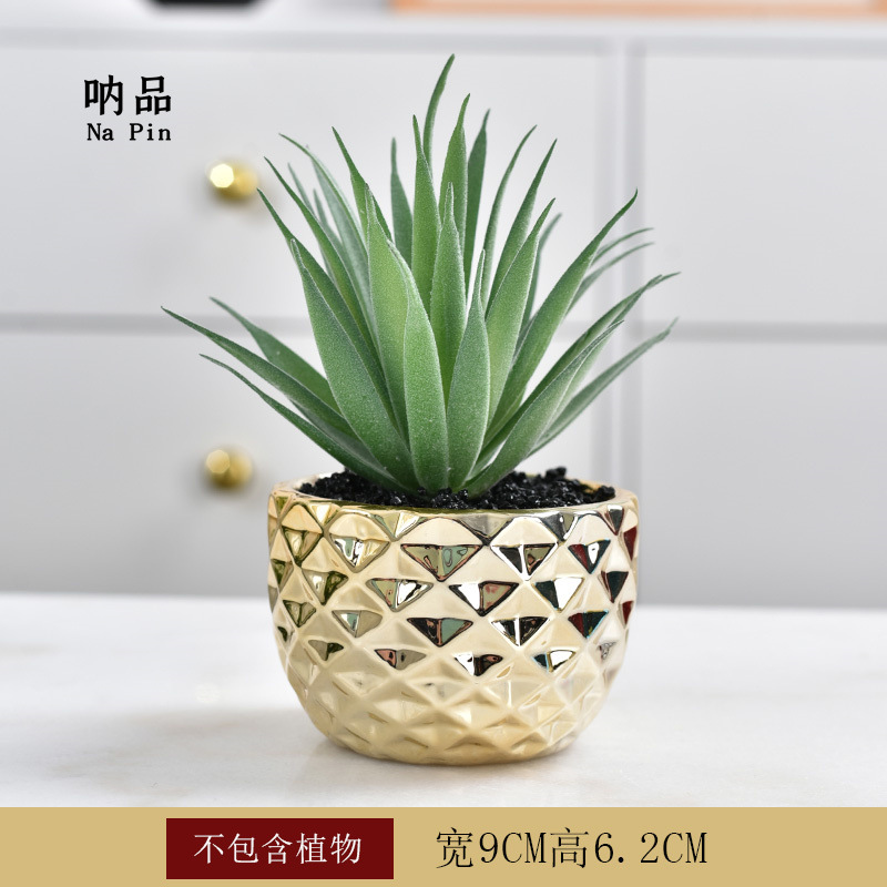 Maceta suculenta de cerámica con baño dorado, estilo fruta