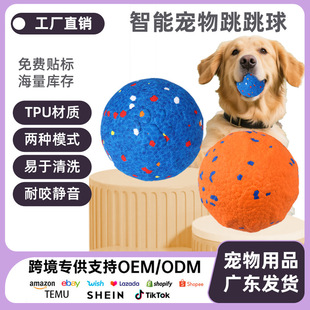 Cross-Border New Product Pet Toy Ball Etpu Smart Dog Training Ball Dog Pet Ball High Elasticity Bite-Resistant Molar Dog Ball