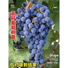 ĺڟoјꖹõѹ޷ϷļͥԺƷN