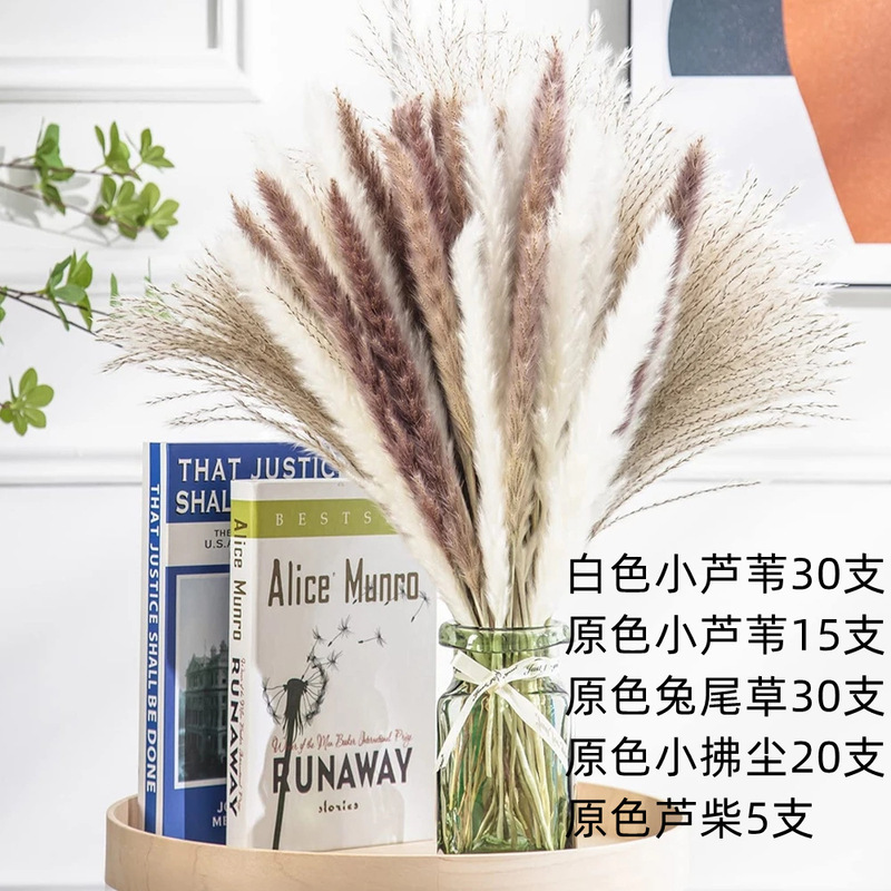 アマゾンはよく売れています。葦の花の花束です。|undefined