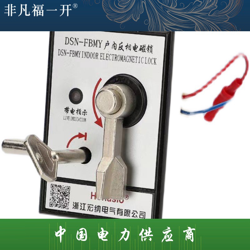 户内反向高压电磁锁带电打不开DSN-FBMY BMZ/AMZ(Y) I/YIZ柜柜门