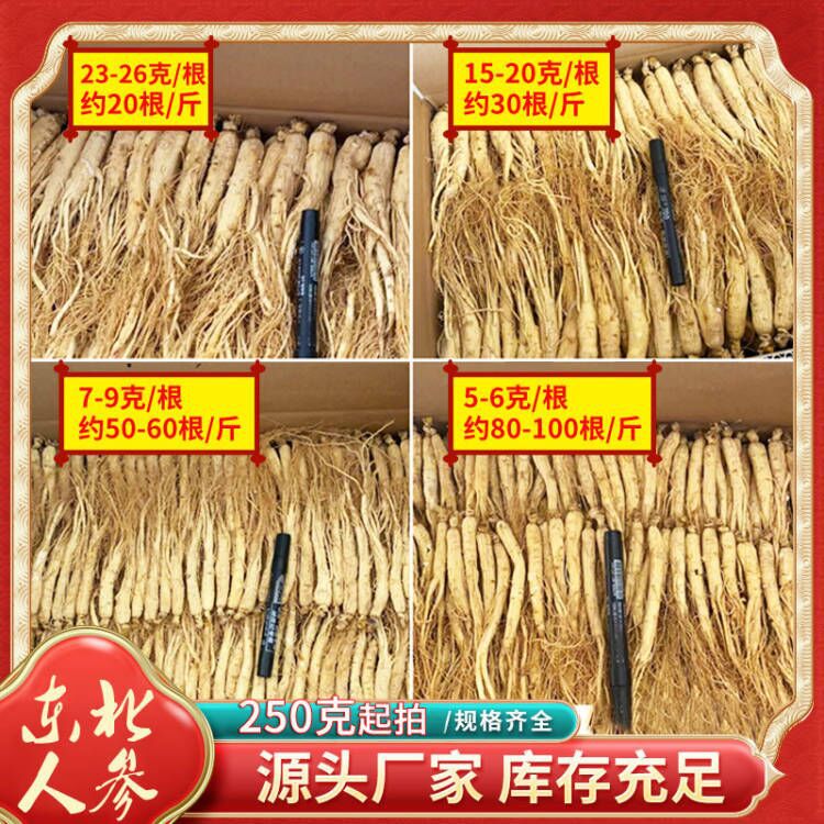 人参250克起拍 东北生晒参整枝干参白参长白山参全须边条日化加工