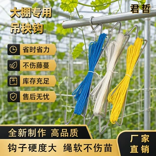吊秧钩西红柿番茄西瓜藤蔓甜瓜藤绑植物爬绳挂钩跨境宠物及园艺