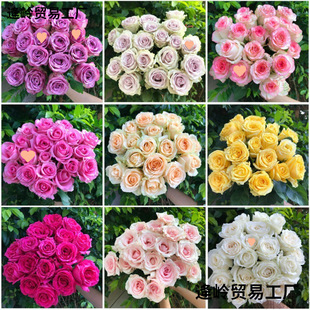 �r�����r���ػ������õ��Yֱ�l��ˮ�ٺ�ֱ���]�滨���տ��л�