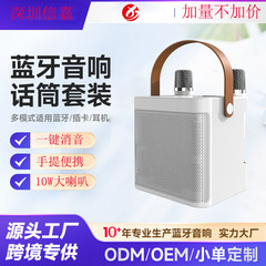 クロスボーダーデュアルマイク付きワイヤレススピーカー一体型機 YS KD203 屋外/家庭用カラオケ Bluetoothスピーカー