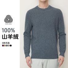 100山羊绒衫男士圆领商务毛衣男秋冬新款中厚款内蒙古羊绒TR9001