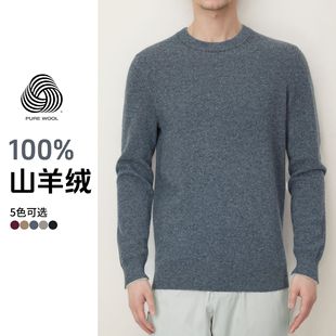 100 Mountain Cashmere Sweater Men's Crewneck Business Sweater Men's Autumn and Winter New Medium Thick Inner Mongolia Cashmere TR9001
