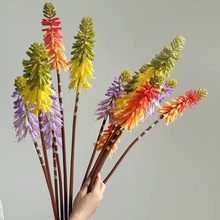 ٺϷ滨⻨쾰b߲廨ˇ̈ûc