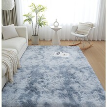 地毯卧室毛毯垫子地垫床边毯客厅茶几毯少女家用房间宿舍毛绒入户