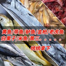 钓嗨尼海钓保温箱冷藏箱专用钓箱冰箱大容量带鱼船钓用品装备全套