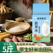 胚芽米5斤东北大米盘锦蟹田米2.5kg珍珠米长粒香米做辅食新米