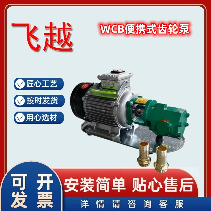 小流量便携卧式WCB75 销售小型220V/380V 齿轮抽油泵